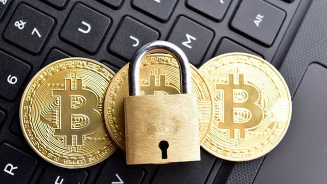 Security shield with encryption rings for self-hosted crypto